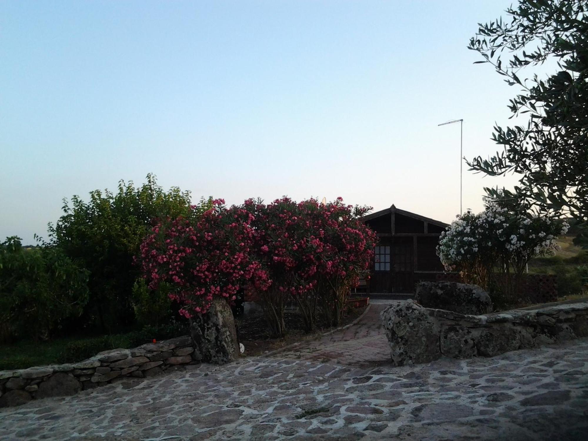 Agriturismo Su Recreu Ittiri Ruang foto