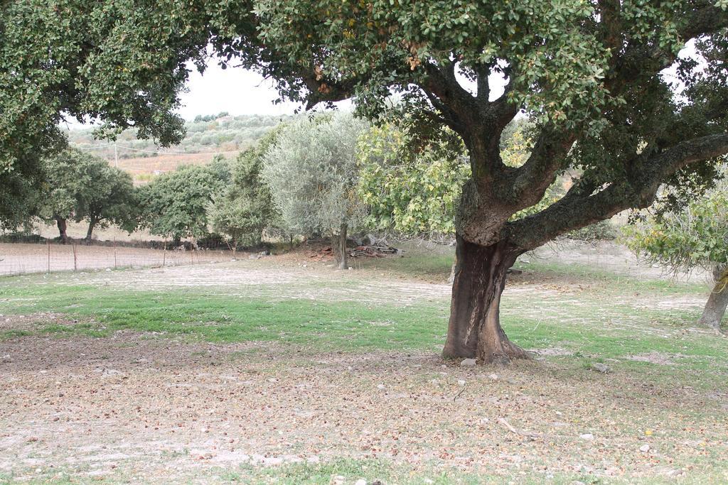 Agriturismo Su Recreu Ittiri Bagian luar foto