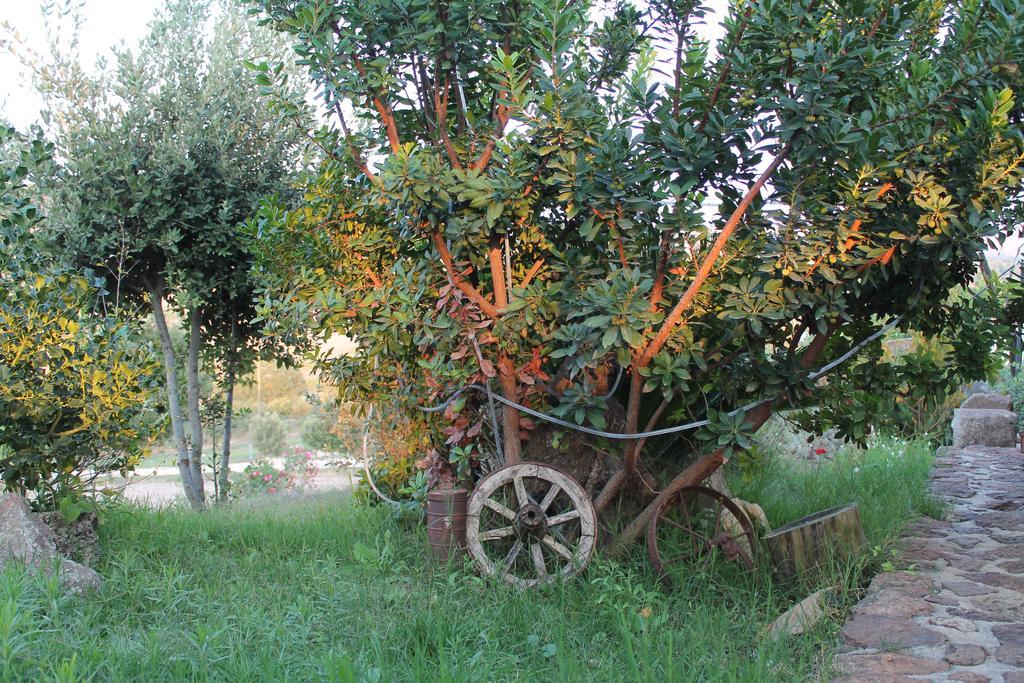 Agriturismo Su Recreu Ittiri Bagian luar foto