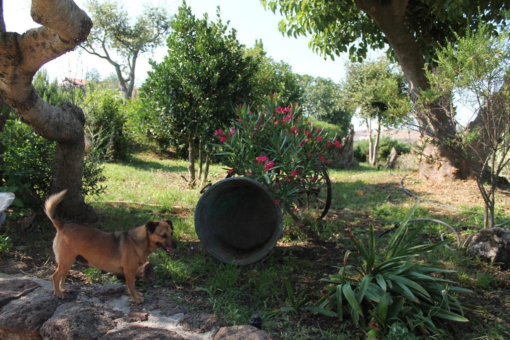 Agriturismo Su Recreu Ittiri Bagian luar foto