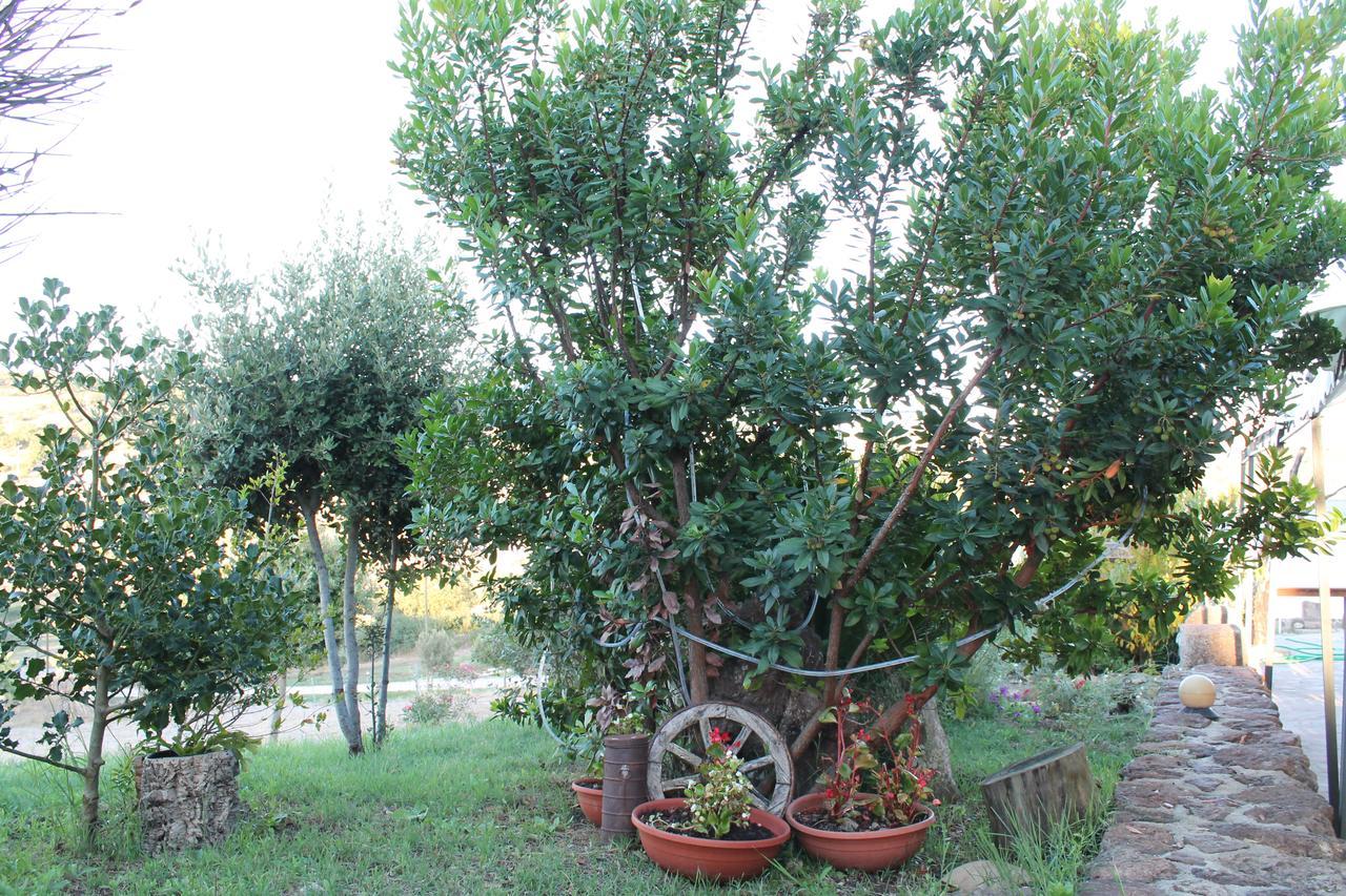 Agriturismo Su Recreu Ittiri Bagian luar foto