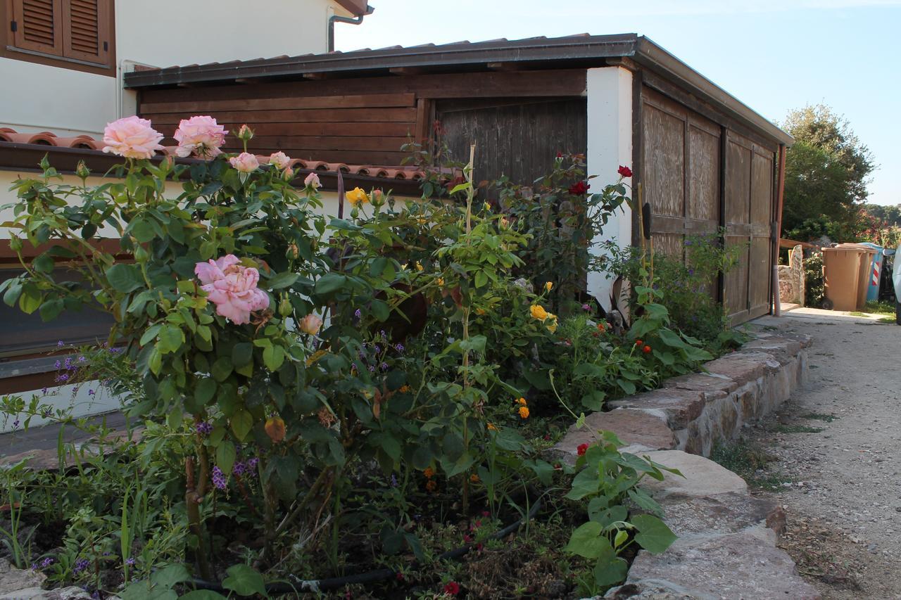 Agriturismo Su Recreu Ittiri Bagian luar foto