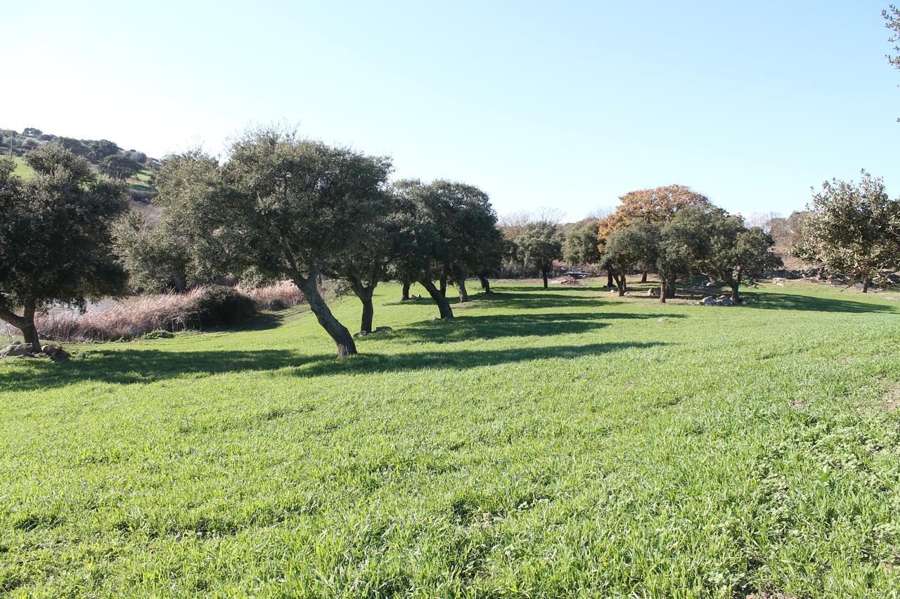 Agriturismo Su Recreu Ittiri Bagian luar foto