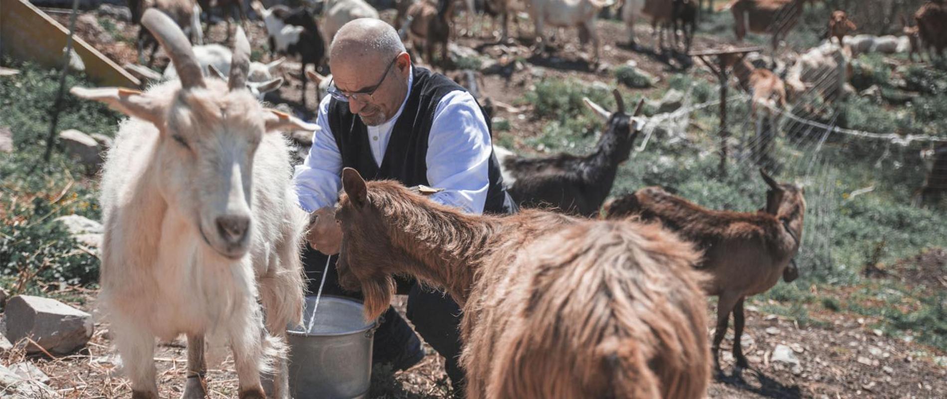 Agriturismo Su Recreu Ittiri Bagian luar foto